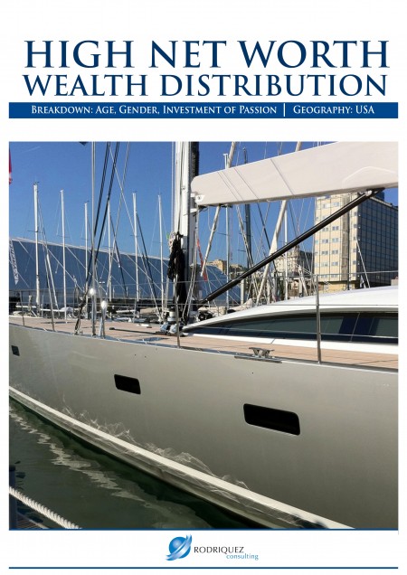 Wealth Distribution and Demographics of the HNWIs